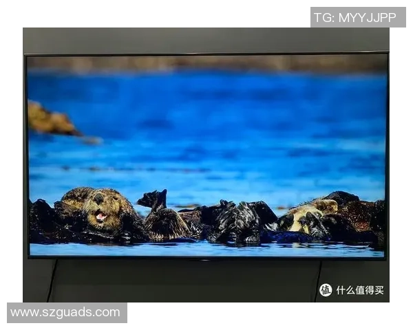 足球球星精彩瞬间全景展现高清60帧超清画面技术解析